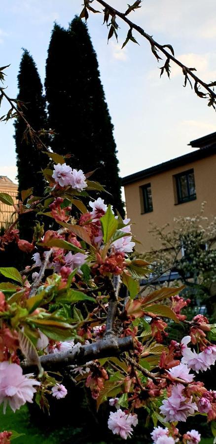 Hotel Via Roma Salzburgo Exterior foto